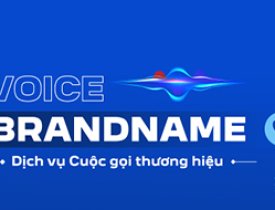 Cuộc gọi thương hiệu Voice Brandname
