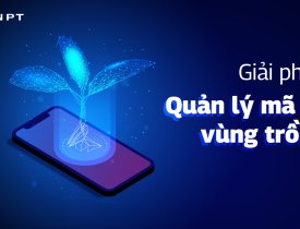 Giải pháp quản lý mã số vùng trồng