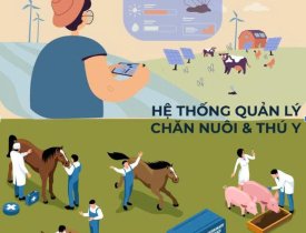 Hệ thống quản lý lĩnh vực chăn nuôi & thú y VNPT